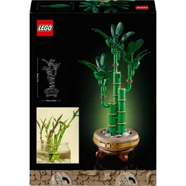 LEGO Botanicals Glücks-Bambus 10344