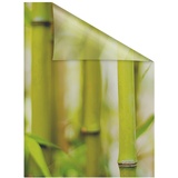 Lichtblick Fensterfolie Bambus 1 St., blickdicht, strukturiertKlebepunkte, selbstklebend, Sichtschutz, grün B/L: 100 x 180 cm (B x L)