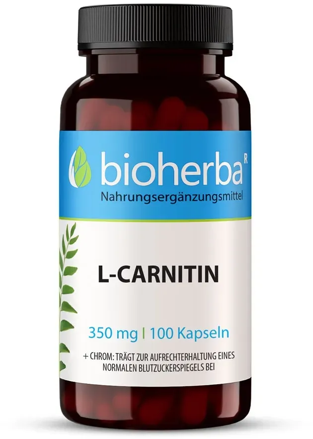 L-Carnitin 350 mg 100 Kapseln