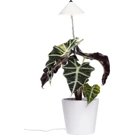 Venso Parus SUNLiTE 7W LED Pflanzenlampe Weiß