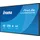 Iiyama ProLite LH4364UHS-B1AG, 43"