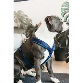 Kentucky Active Velvet Hundegeschirr Dunkelblau XXS 14-22 cm