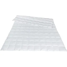 Traumina Plume Bio Daune WK 1 (Größe: 200x220 cm*)