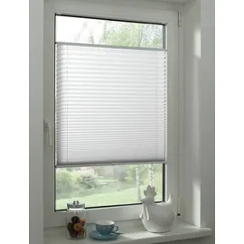 GARDINIA Plissee Concept Tageslicht 55 x 130 cm Weiß