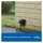 TP-Link Smart-Home-Steckdose IP54 2 St.