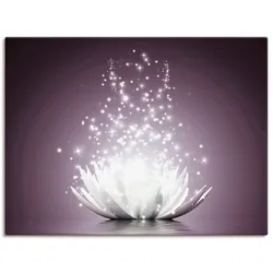 Wandbild ARTLAND "Magie der Lotus-Blume", lila (farbe bild(er): lila), B:80cm H:60cm, Canvas, Leinwand, Bilder, als Leinwandbild, Poster, Wandaufkleber in verschied. Größen