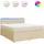 vidaXL Boxspringbett 180 x 200 cm Creme