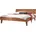 146 216 Braun