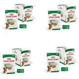 Royal Canin Mini Adult Soße Nassfutter für kleine Hunde x 85 g