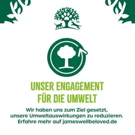 James Wellbeloved Senior Lamm & Huhn Pastete 6 x 400 g