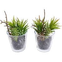 Botanic-Haus Künstliche Zimmerpflanze Sukkulenten Arrangement im Glas, Botanic-Haus, Höhe 15 cm grün
