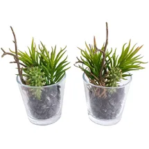 Botanic-Haus Künstliche Zimmerpflanze Sukkulenten Arrangement im Glas, Botanic-Haus, Höhe 15 cm grün