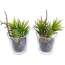 Botanic-Haus Künstliche Zimmerpflanze Sukkulenten Arrangement im Glas, Botanic-Haus, Höhe 15 cm grün