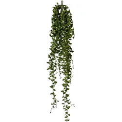 Deko-Pflanze SENECIO - grün