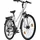 Dacapo Firenze 200 28 Zoll RH 48 cm Damen weiß