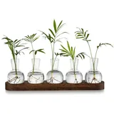 luxuskollektion Pflanzen Terrarium Glasvasen inkl. Holztablett Hydrokultur Deko Set