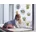 Fensterbild Bubbles Größe 30 30 cm 2 Bogen Disney Kinderzimmer Babyzimmer Mandalorian Bunt