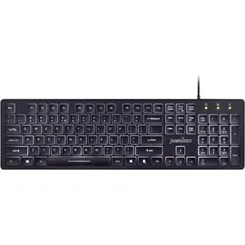 Perixx Periboard-317, DE Kabelgebunden Tastatur mit weißer LED Hintergrundbeleuchtung, Große Druckbuchstaben, Vollformat, Deutsches QWERTZ Layout
