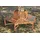 Garden Pleasure Ontario 155 x 78 x 155 cm Braun