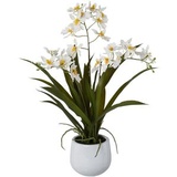 Creativ-green Kunstpflanze Cambria-Orchidee weiß, 50 cm