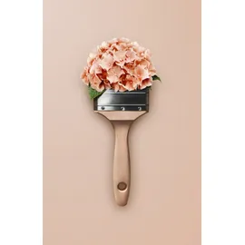 Schöner Wohnen Trendfarbe 1 l hortensie matt