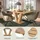 xonox.home Motion 150 x 76 x 90 cm Eiche Artisan braun