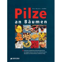 Pilze an Bäumen
