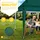 tillvex Faltpavillon 3 x 6 m Grün