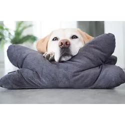 Hundekissen Kopfkissen Lebon - Cruto XL