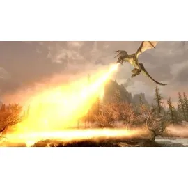 The Elder Scrolls V: Skyrim (USK) (Nintendo Switch)