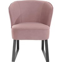 exxpo - sofa fashion Sessel »Americano«, pink - SOFA FASHION Gr. Samtvelours,