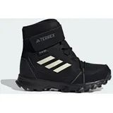 Adidas Terrex Snow Hook-And-Loop COLD.RDY Winter  Core Black / Chalk White / Grey Four 31