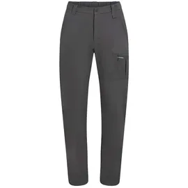 Icebreaker Merino Elevation Stretch Hosen grau 31