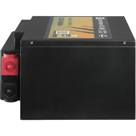 LIONTRON LiFePO4 Akku 12,8V 660Ah 8,45 kWh