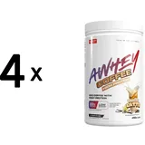 Vast Whey Protein Vanille Pulver 450 g
