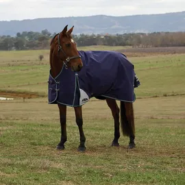 Weatherbeeta Comfitec Plus Dynamic Turnout High Neck 220g, 150