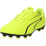 Puma Vitoria FG/AG (107483)