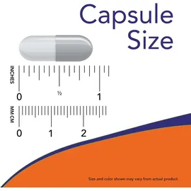 NOW Foods Olive Leaf Extract 500 mg Kapseln 120 St.