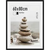 Nielsen APOLLON 60x80