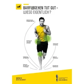 Leguano Galaxo | Gr.: 45