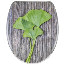 WC-Sitz Gingko mit Absenkautomatik