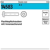 Industrial Quality Supplies ISO 14583 Flachkopfschraube VG M6x40 Edelstahl A2 blank T30