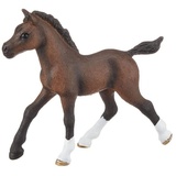 Schleich Horse Club Araber Fohlen 13762