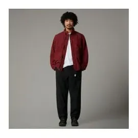 The North Face Herren Beta Utility Belted Hose (Größe S, schwarz)