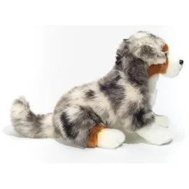 Teddy-Hermann Australian Shepherd Welpe