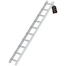 Proregal Dachleiter Alu 10 Sprossen