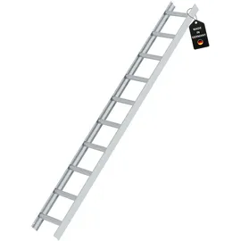 Proregal Dachleiter Alu 10 Sprossen