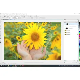 Corel CorelDRAW Graphics Suite 2019