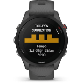 Garmin Forerunner 255 46 mm schiefergrau/schwarz