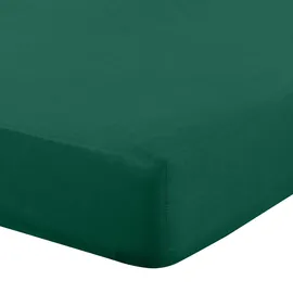 Eurofirany Spannbettlaken Baumwolle 160 x 200 cm grün